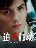 追凶行动电影