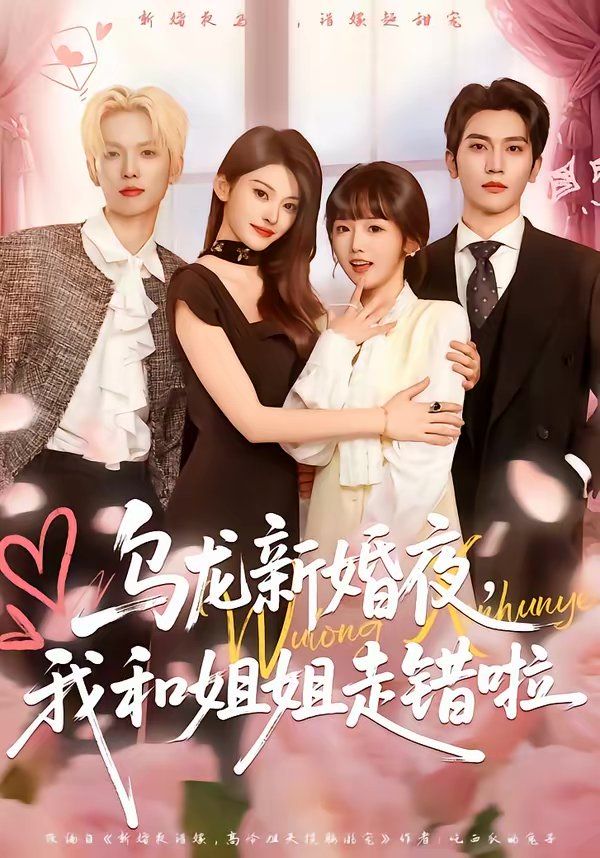 乌龙新婚夜，我和姐姐走错啦